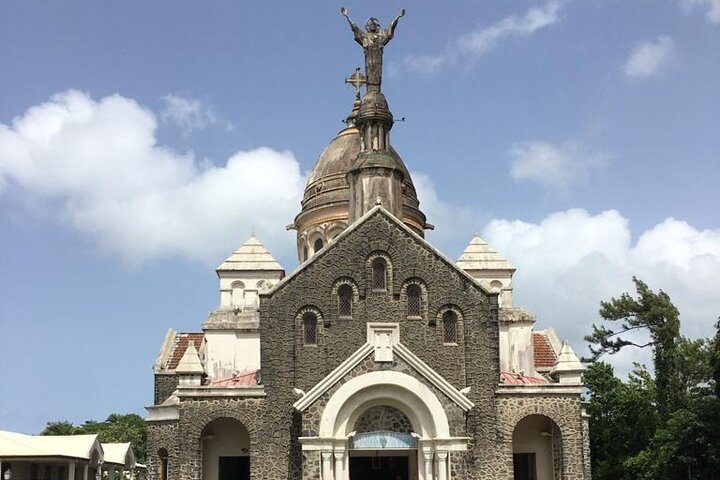 Half-Day Nature and Panorama Tour in Martinique