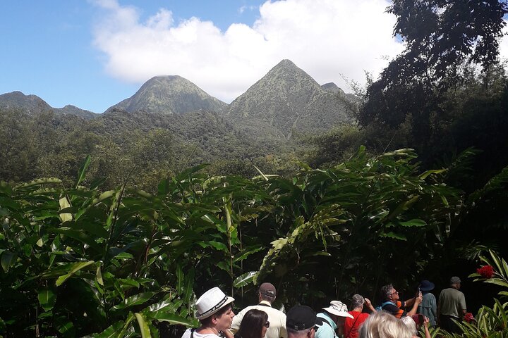 Half-Day Nature and Panorama Tour in Martinique