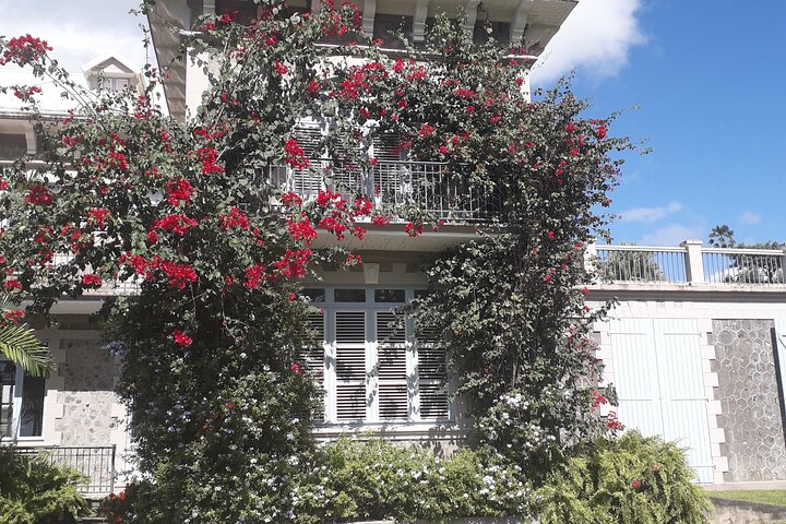 Half-Day Nature and Panorama Tour in Martinique