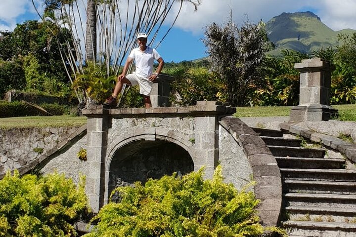 Half-Day Nature and Panorama Tour in Martinique