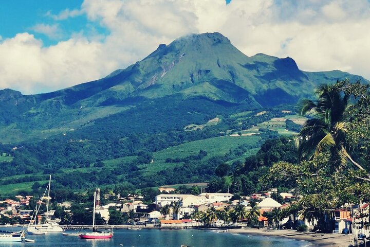 Half-Day Nature and Panorama Tour in Martinique
