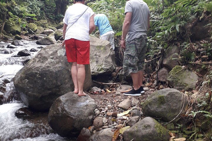 Half-Day Nature and Panorama Tour in Martinique