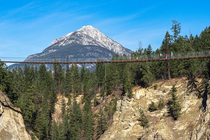 Admission Ticket to Golden Skybridge