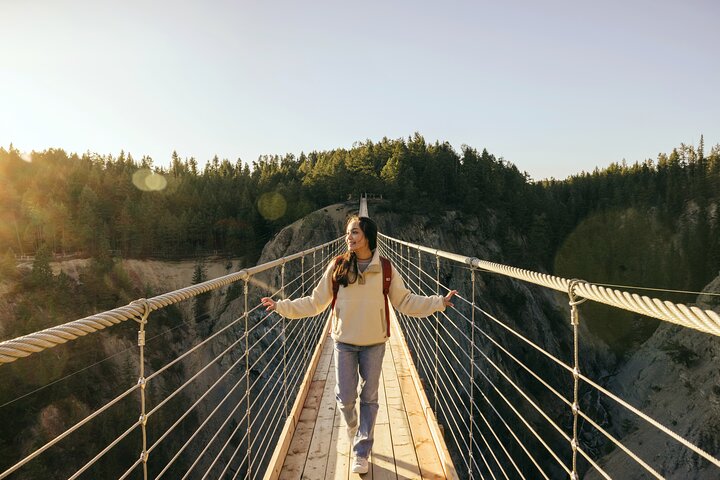Admission Ticket to Golden Skybridge
