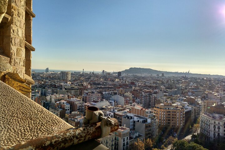 Sagrada Familia English Guided Tour & Optional Tower Access