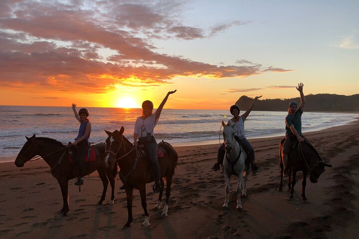 Jungle and Beach Horseback Riding Tour - 2H 1/2