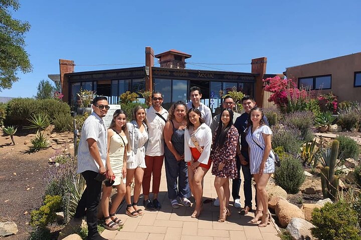 Guadalupe Wine Valley Tour