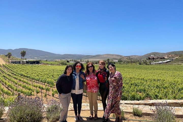 Guadalupe Wine Valley Tour