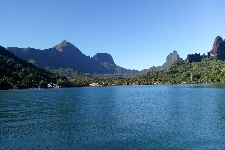 Snorkeling excursion and encounter with marine fauna in Moorea