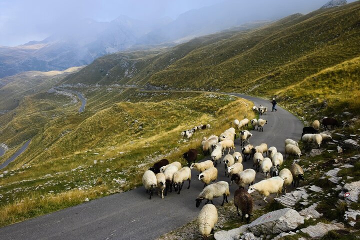 North Montenegro, Durmitor, Tara & Ostrog Tour