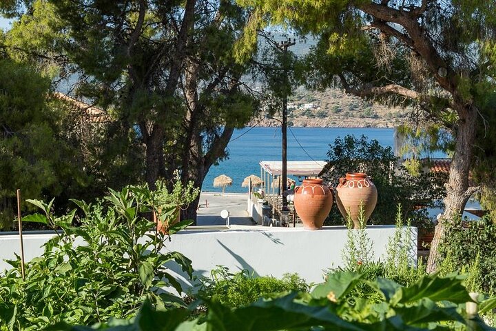Traditional Greek Cooking Class and Organic Lunch on Poros