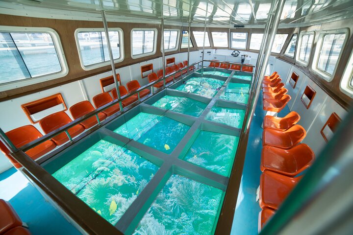 Glass-Bottom Boat 2-hours Tour and Coral-Reef Viewing from Aqaba