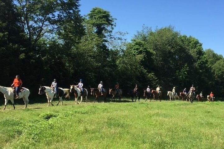 Memphis 1 hour Horseback Trail Ride