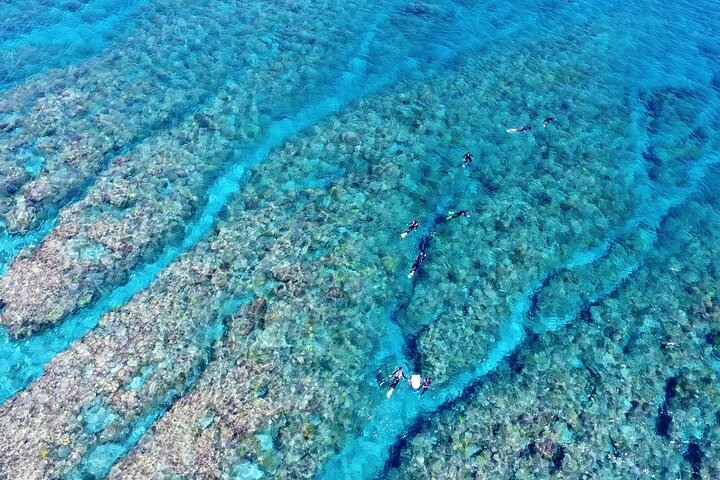 Half-Day Snorkeling Experience in the Kerama Islands from Naha