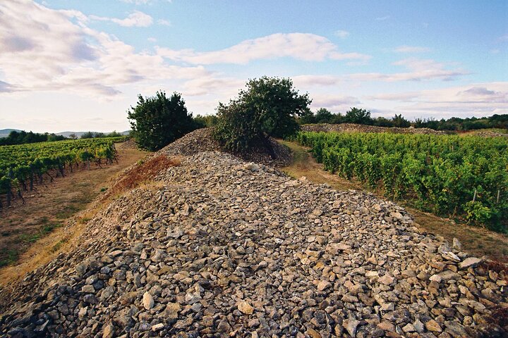 Full-Day Custom Tokaj Wine Tour