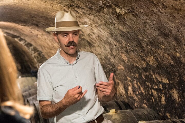 Full-Day Custom Tokaj Wine Tour