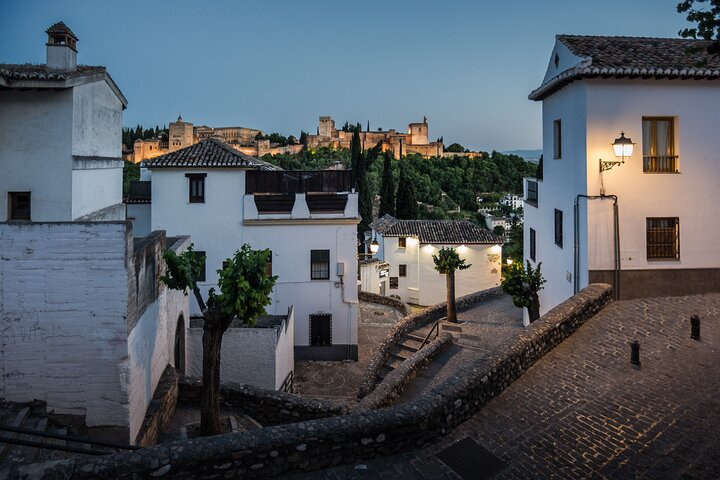 Skip The line Alhambra and Nasrid Palaces Private Tour