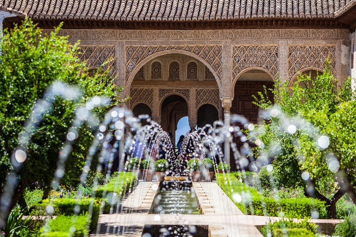 Skip The line Alhambra and Nasrid Palaces Private Tour