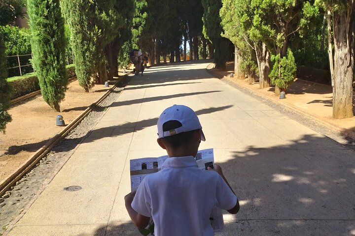 Skip The line Alhambra and Nasrid Palaces Private Tour