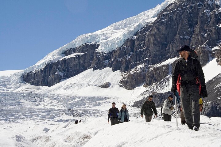 Guided Glacier Hike on The Athabasca with IceWalks