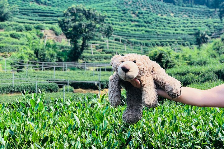 Flexible Hangzhou Private Tour from Shanghai by Bullet Train