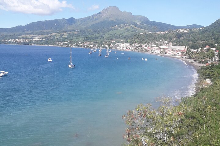 Half-Day Nature and Panorama Tour in Martinique