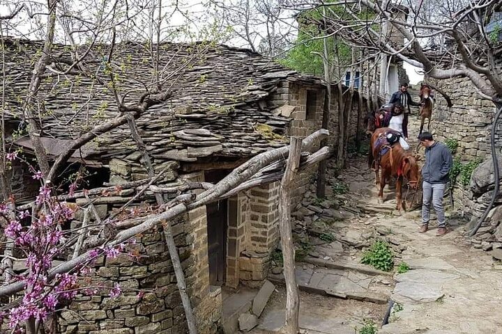 Amazing Horse Riding Experience at Vjosa National Park in Permet