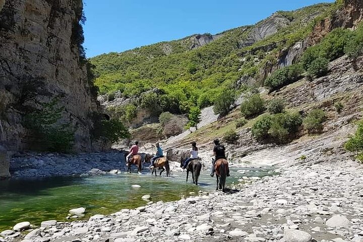 Amazing Horse Riding Experience at Vjosa National Park in Permet
