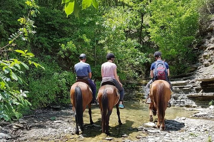 Amazing Horse Riding Experience at Vjosa National Park in Permet