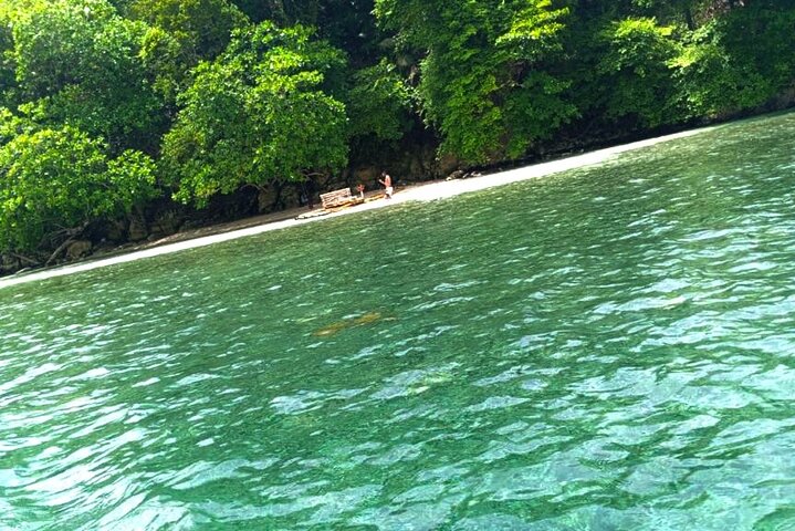 The Best of Port Antonio Day-Trip from Ocho Rios