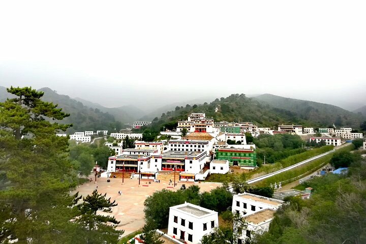Huhhot 4D3N Inner Mongolia Grassland and desert nature tours