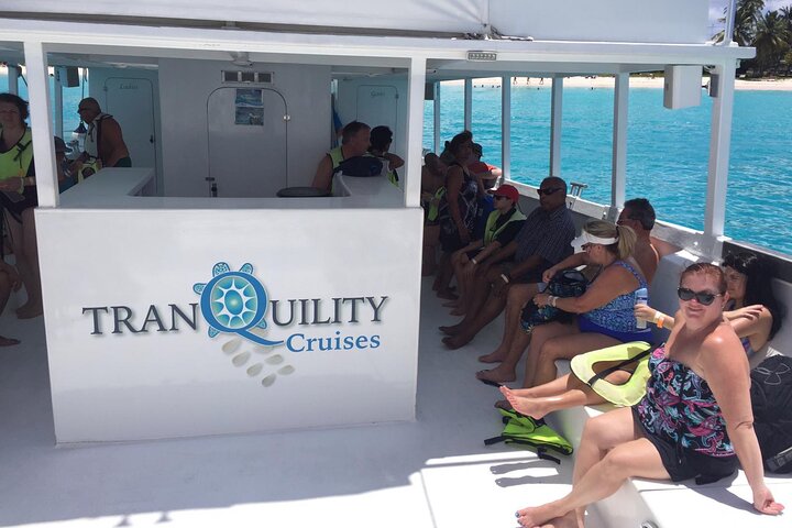 Barbados Turtle and Shipwreck Snorkel Adventure
