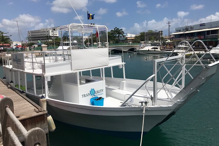 Barbados Turtle and Shipwreck Snorkel Adventure