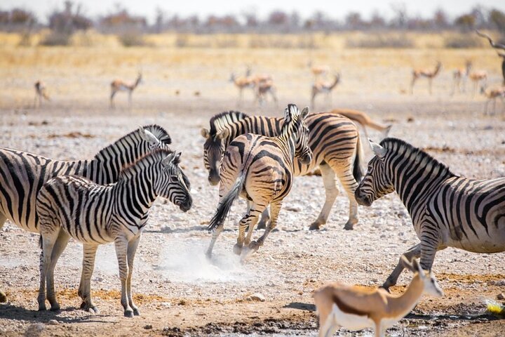 Hell's Gate Cycling Tour & Lake Naivasha Boat Ride from Nairobi