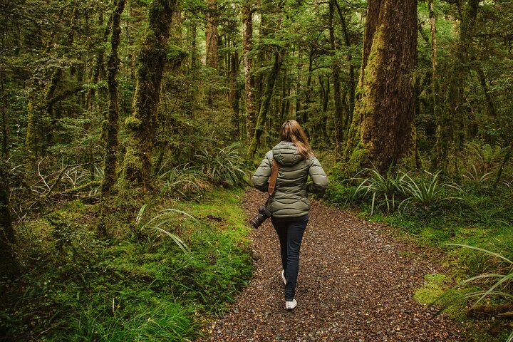Guided Private Milford Sound Day Tour from Te Anau(Cruise Included)
