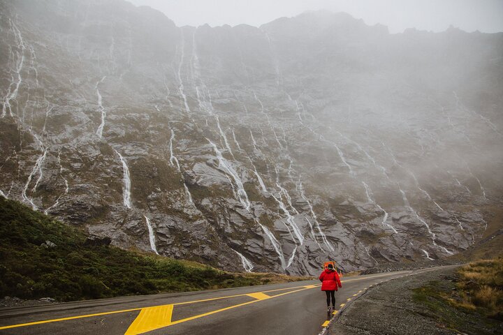 Guided Private Milford Sound Day Tour from Te Anau(Cruise Included)