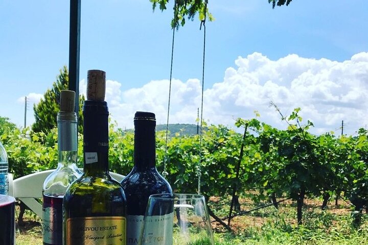 Nemea Wine Tour from Athens, Nafplio or Nemea with Oenologists