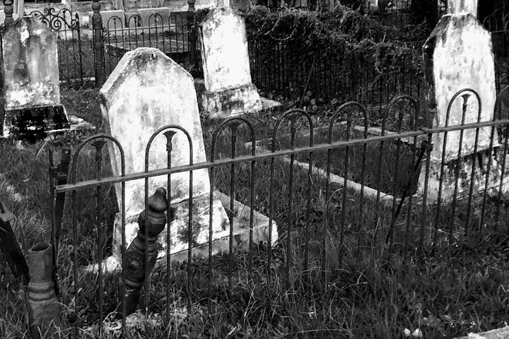Historical Haunted Bayou Cruise