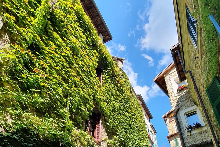 DOLCEACQUA & THE NERVIA VALLEY - The home of Rossese wine and Monet's beloved bridge
