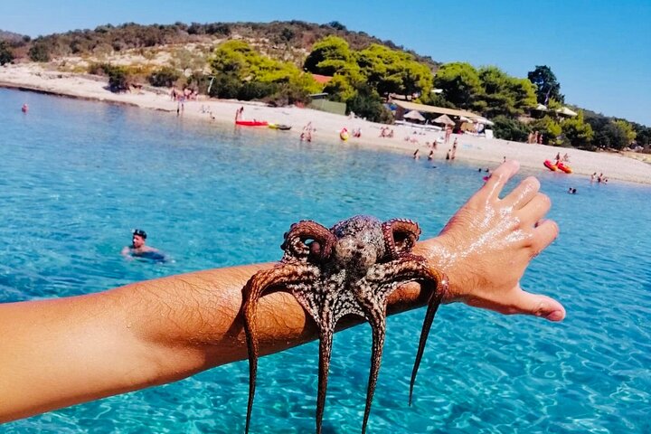 Private Blue Cave Tour from Split, Brač, Trogir and Hvar