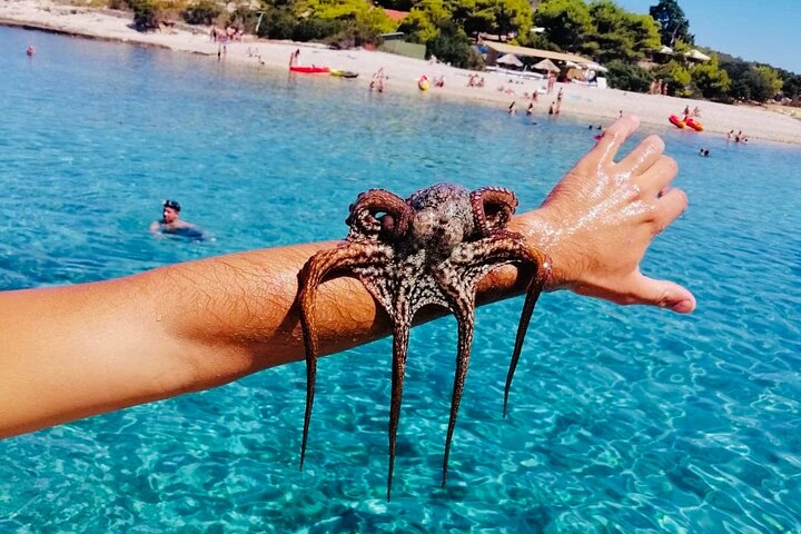 Blue Cave and Hvar Boat Tour: Small-Group from Split or Brac