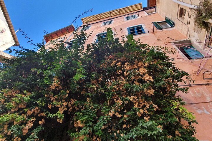 SANREMO FOOD TOUR - Authentic Ligurian street food and Medieval town