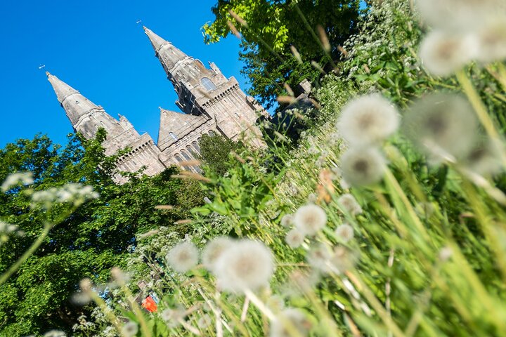 Old Aberdeen 2 hour Historical Walking Tour