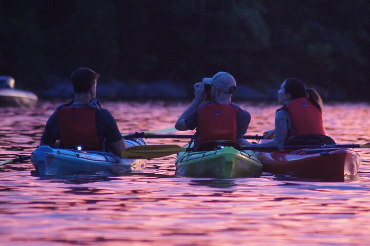 Nickajack Bat Cave Kayak Tour with Chattanooga Guided Adventures
