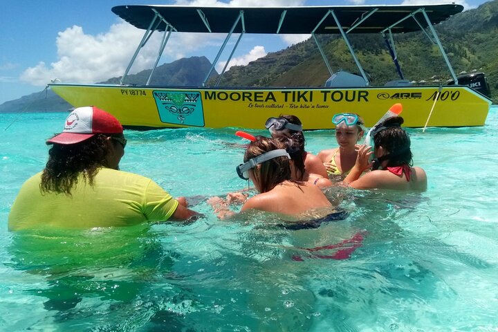 Snorkeling excursion and encounter with marine fauna in Moorea