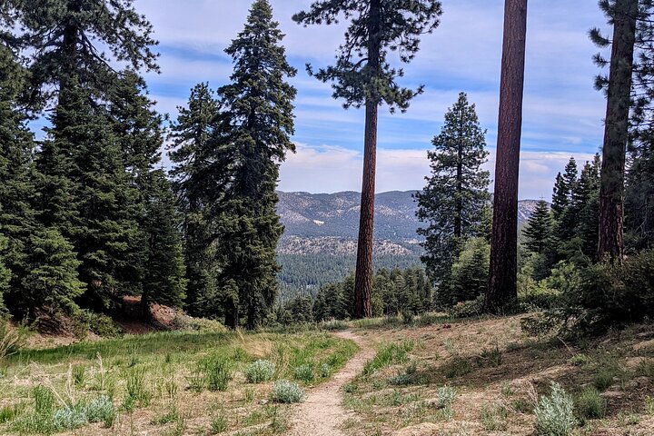 A Local's Favorite Hike in Big Bear with Lake Swimming Experience