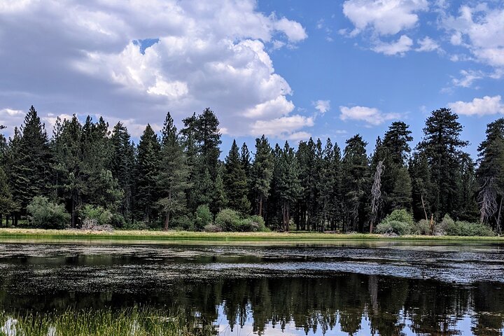 Big Bear Jeep off-road tour with Hike to Bluff Lake Reserve