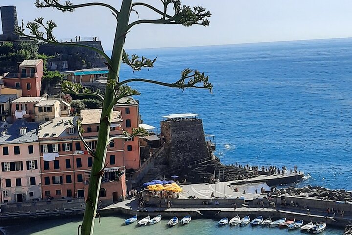 Cinque Terre Small Group Day Tour from Montecatini