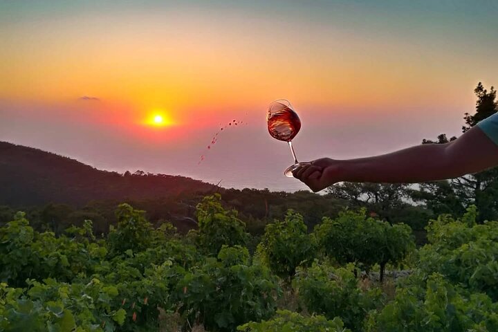 Winery Tour and Wine Tasting at Karimalis Winery in Ikaria