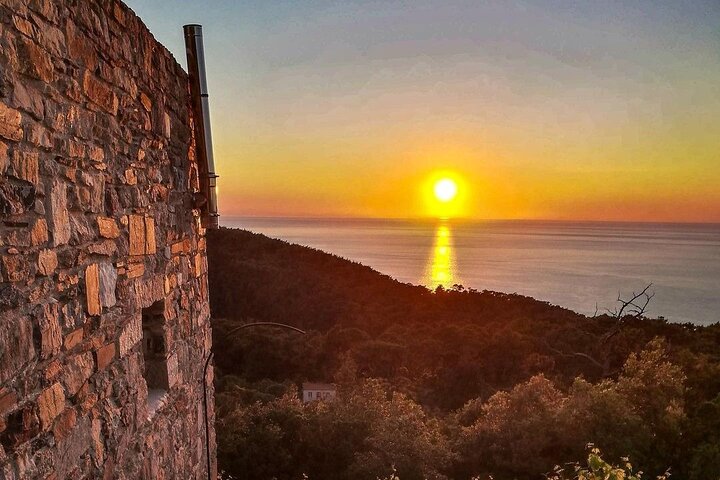 Winery Tour and Wine Tasting at Karimalis Winery in Ikaria